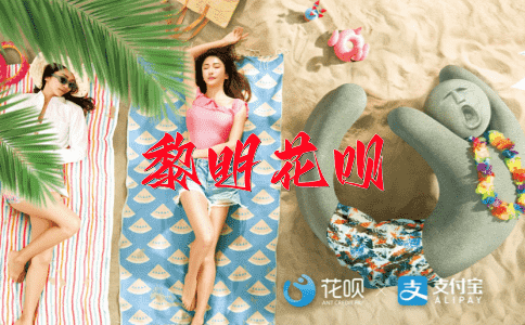 错综复杂花呗